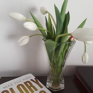 Meet your Posher, Rosie